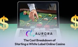White Label Online Casino Cost Breakdown in Indonesia